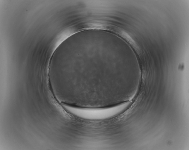 X0000091081378200708131246