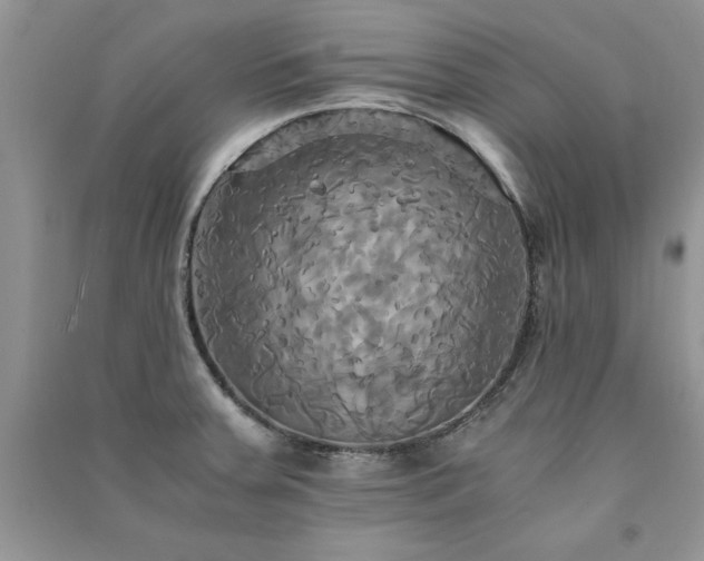 X0000091081379200708131246