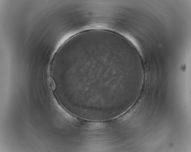 X0000091081382200708131245