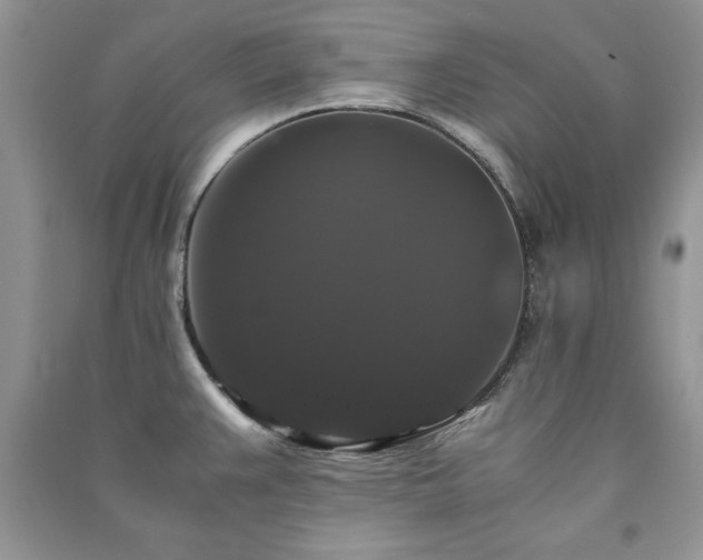 X0000091081383200708131245