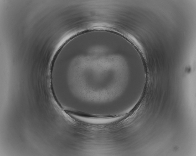 X0000091081384200708131245