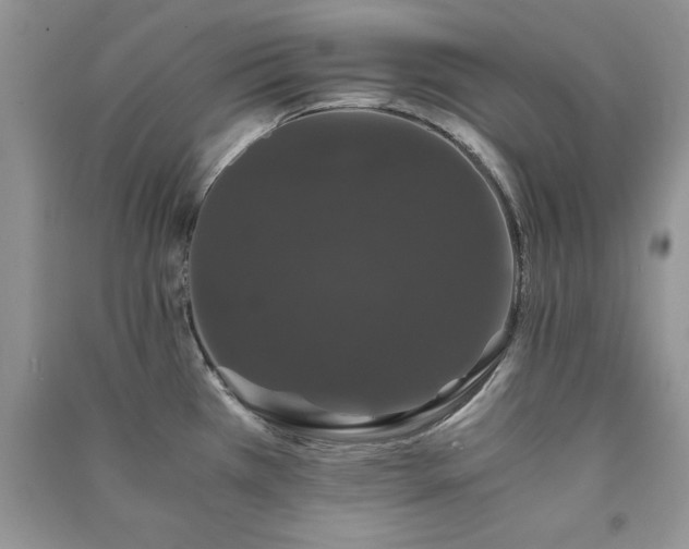 X0000091081385200708131245