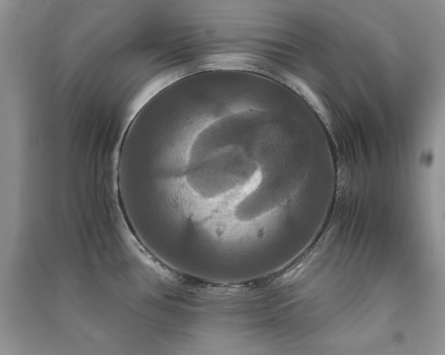 X0000091081386200708131245