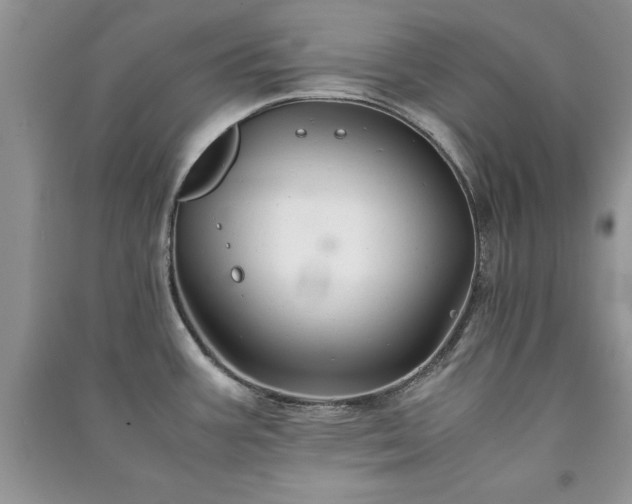 X0000091081387200708131245