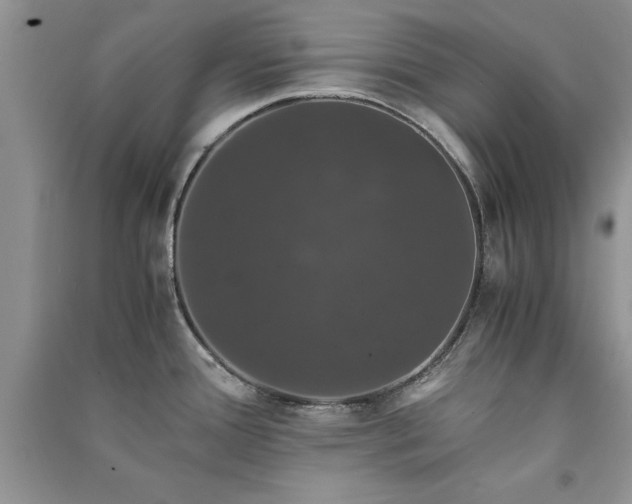 X0000091081388200708131245