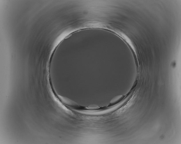 X0000091081389200708131245