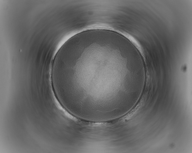 X0000091081390200708131245