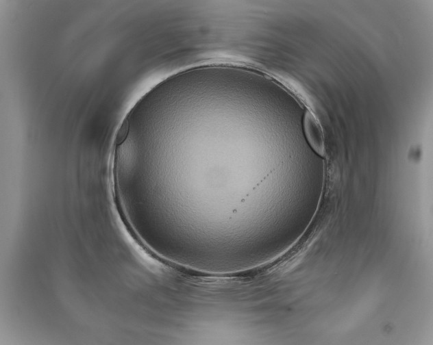 X0000091081391200708131245