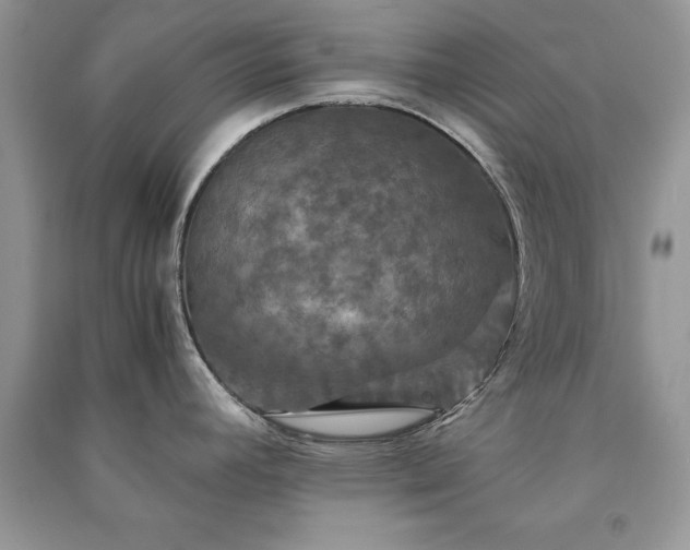 X0000091081392200708131245