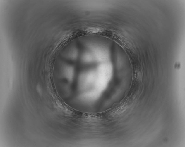 X0000091081393200708131245