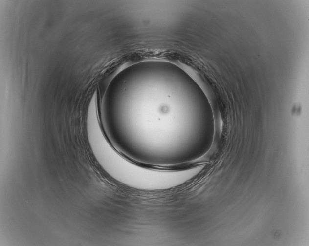 X0000091081394200708131245