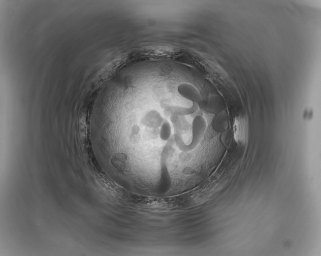 X0000091081395200708131245