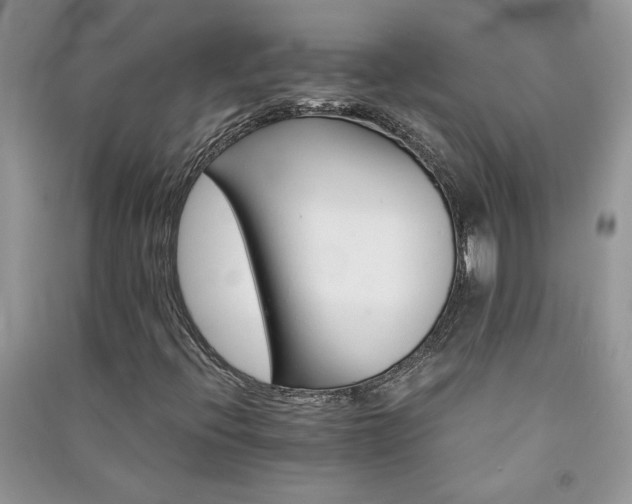 X0000091081396200708131245