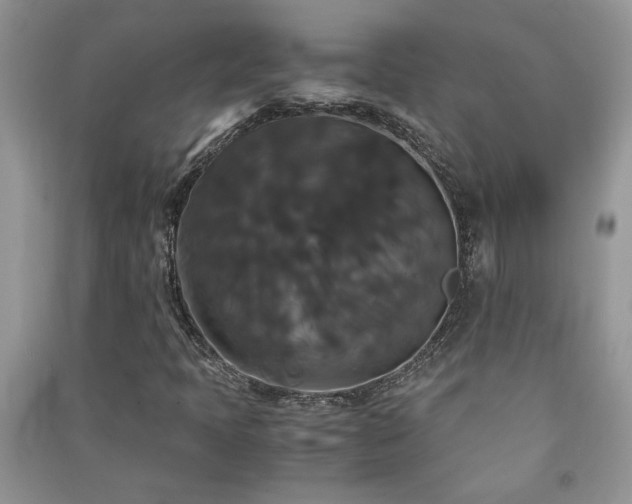 X0000091081397200708131245