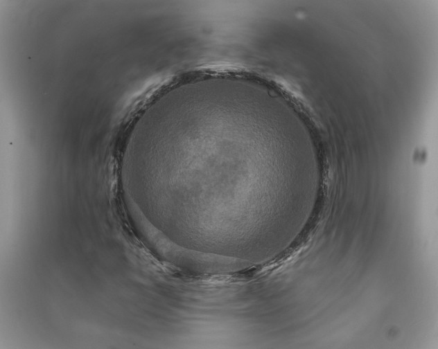 X0000091081398200708131245