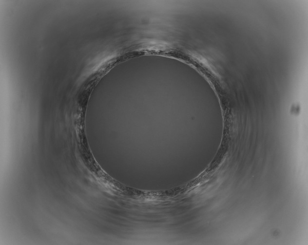 X0000091081399200708131245