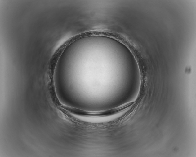 X0000091081400200708131245