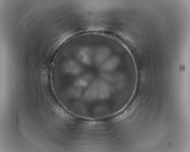 X0000091081401200708131245