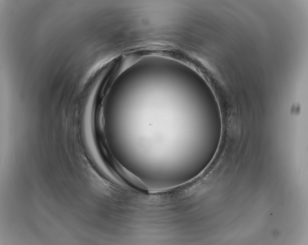 X0000091081402200708131245