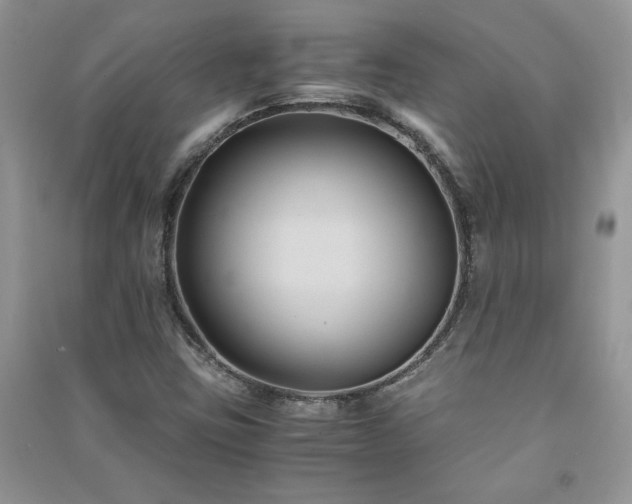 X0000091081403200708131245