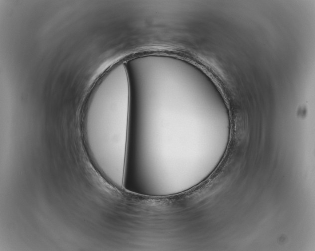 X0000091081404200708131245