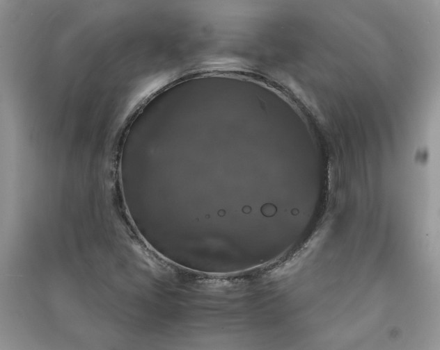 X0000091081405200708131245