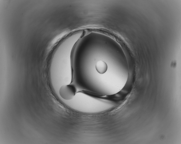 X0000091081406200708131245