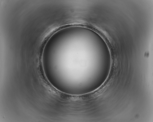 X0000091081407200708131245