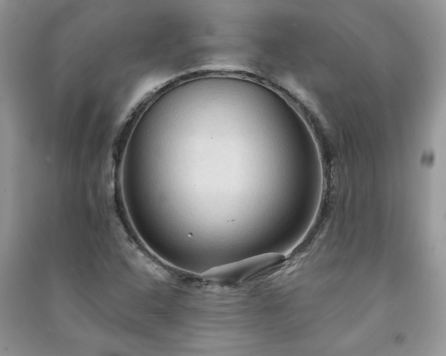 X0000091081408200708131245