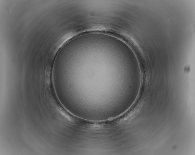 X0000091081409200708131245