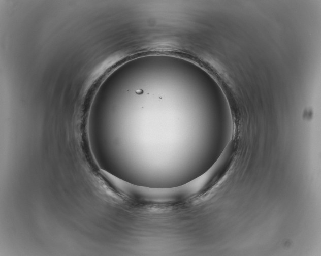 X0000091081410200708131245