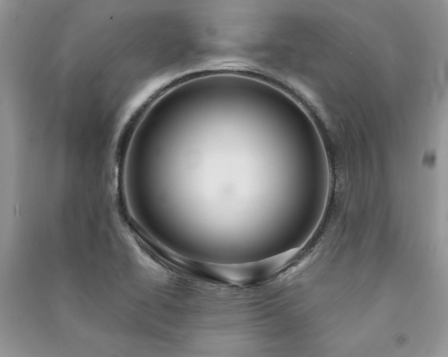 X0000091081414200708131245