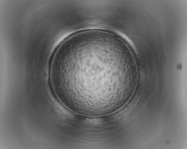 X0000091081415200708131245