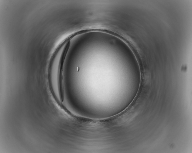 X0000091081416200708131245