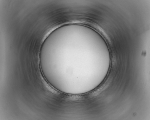 X0000091081417200708131245