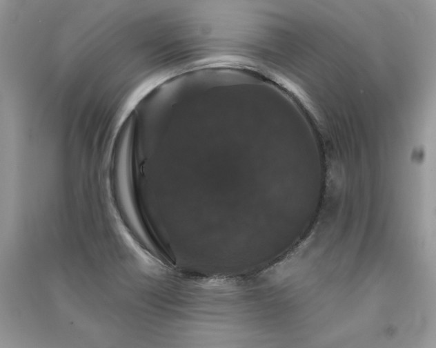 X0000091081418200708131245