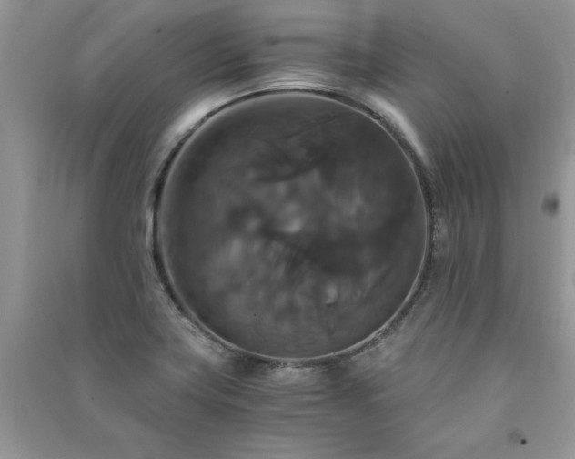 X0000091081419200708131245