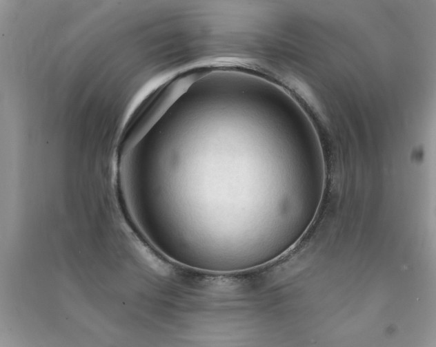 X0000091081420200708131245