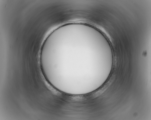 X0000091081421200708131245