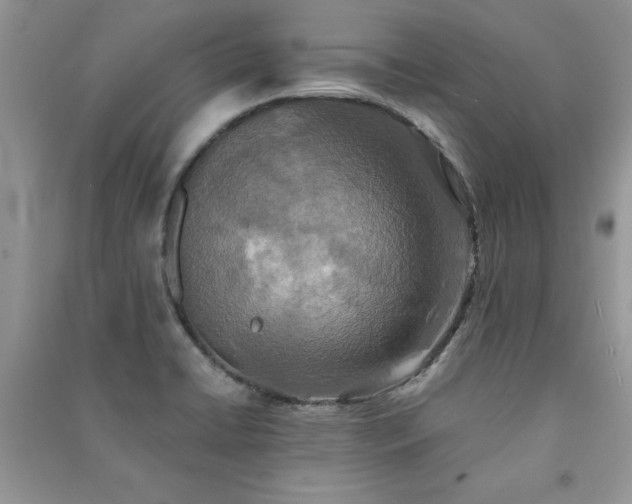 X0000091081422200708131245