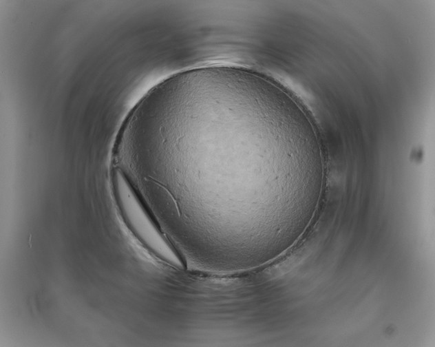 X0000091081423200708131245