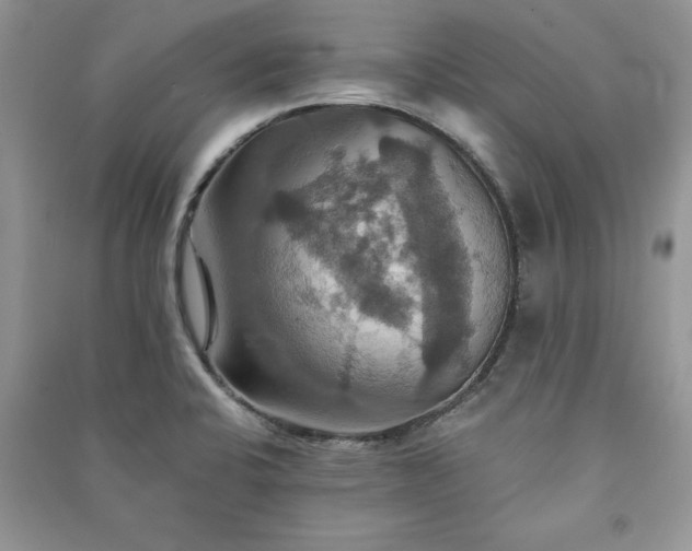 X0000091081424200708131245