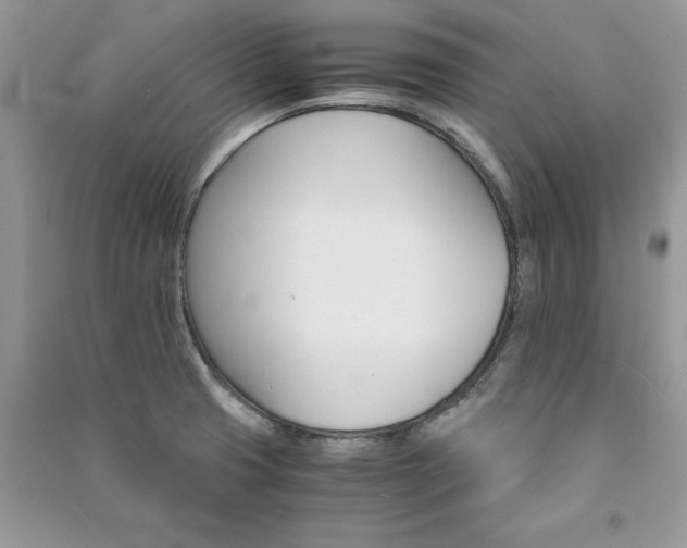 X0000091081425200708131245