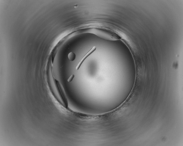 X0000091081426200708131245