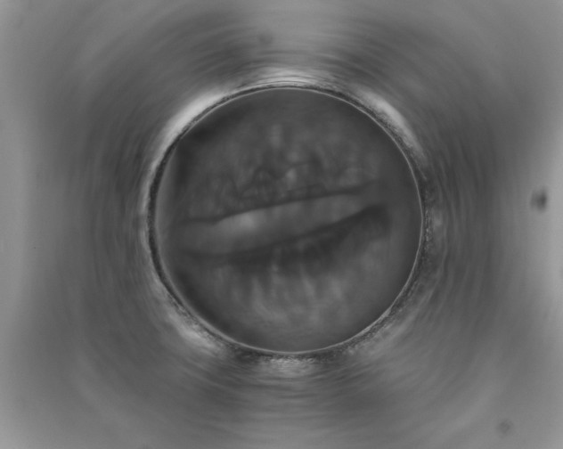 X0000091081427200708131245