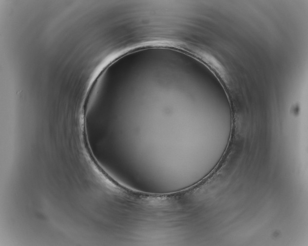 X0000091081428200708131245