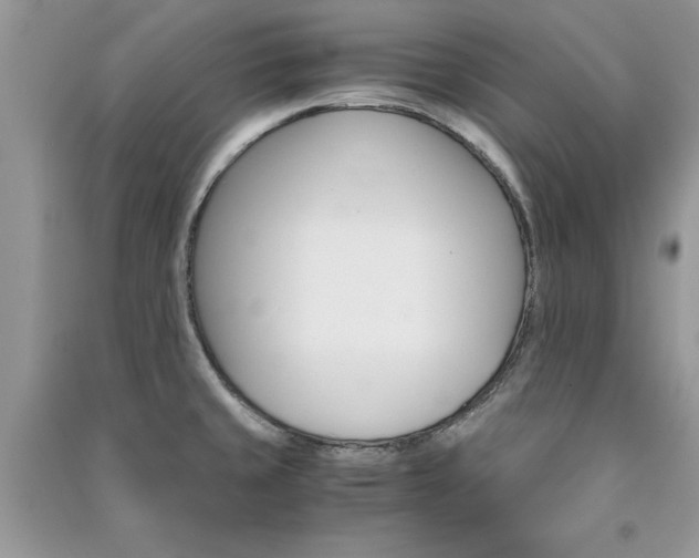 X0000091081429200708131245