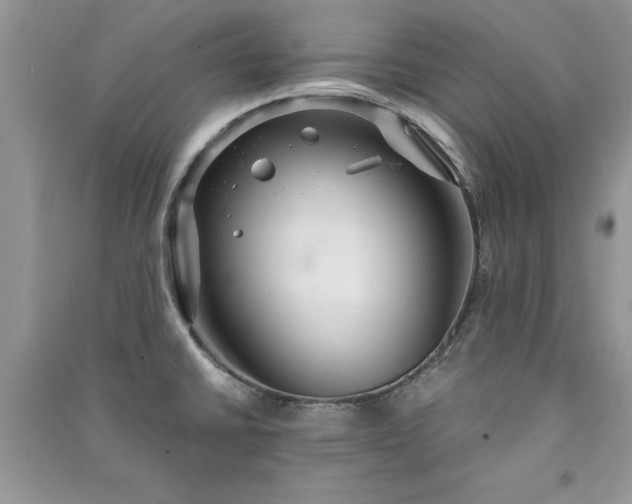 X0000091081430200708131245