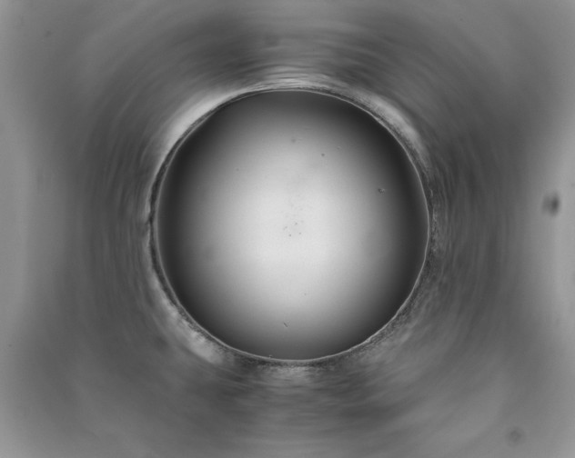 X0000091081431200708131245