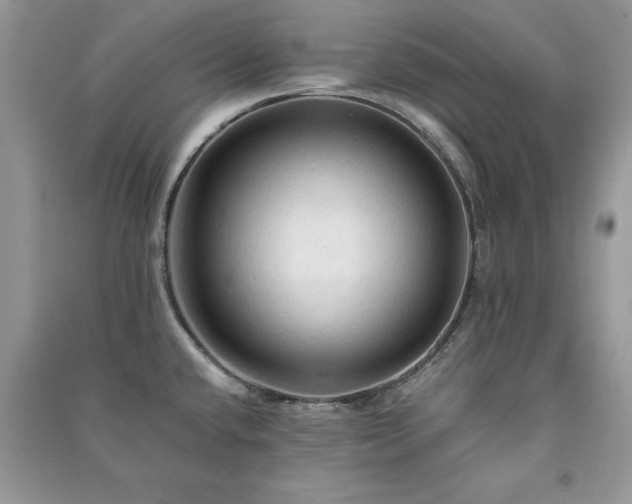 X0000091081432200708131245